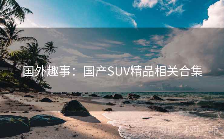 国外趣事：国产SUV精品相关合集